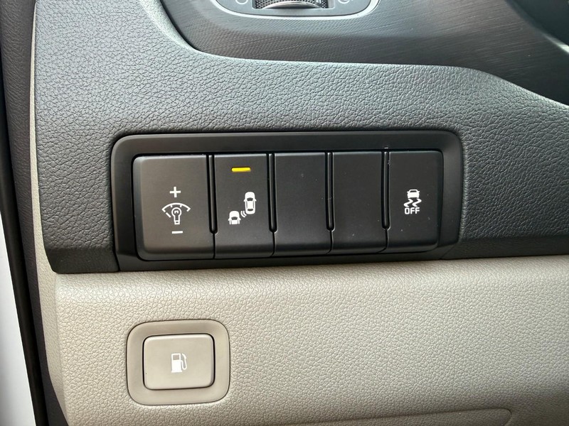 Kia Sedona Vehicle Image 20