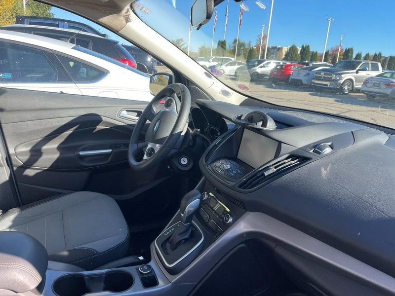 Ford Escape Vehicle Image 02