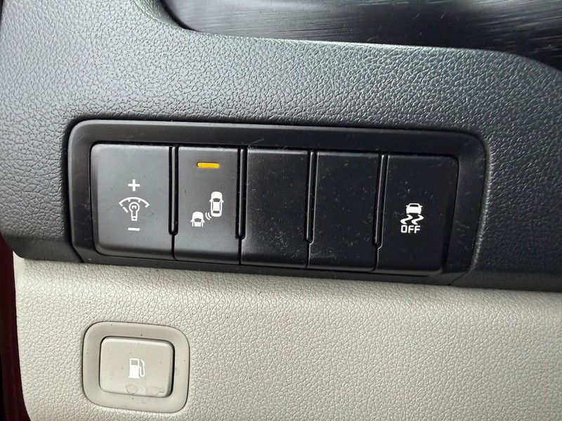 Kia Sedona Vehicle Image 19