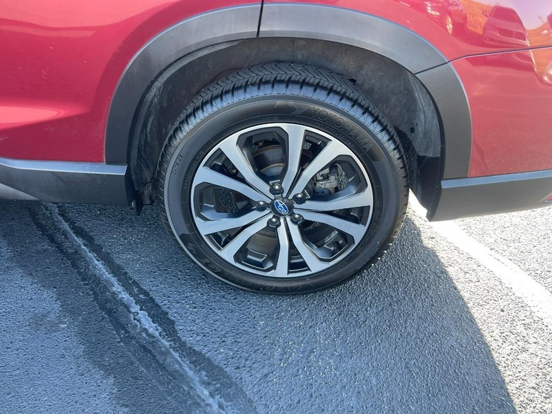 Subaru Forester Vehicle Image 06