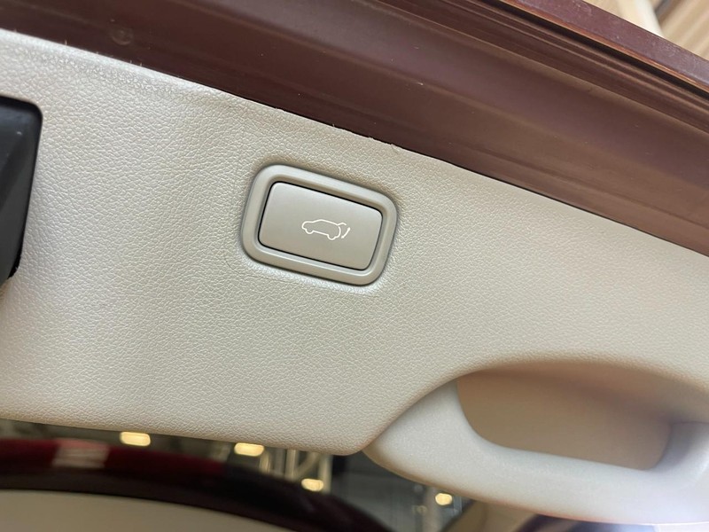 Kia Sedona Vehicle Image 16