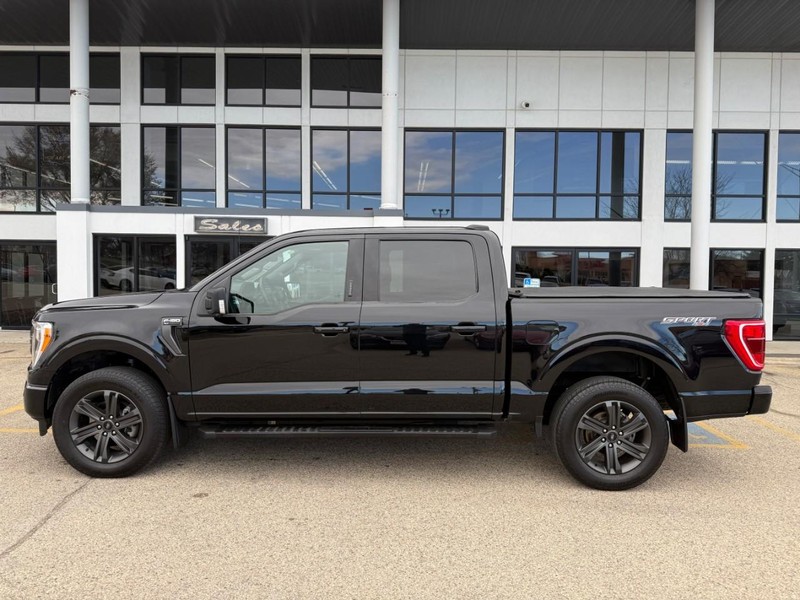 Ford F-150 Vehicle Image 08