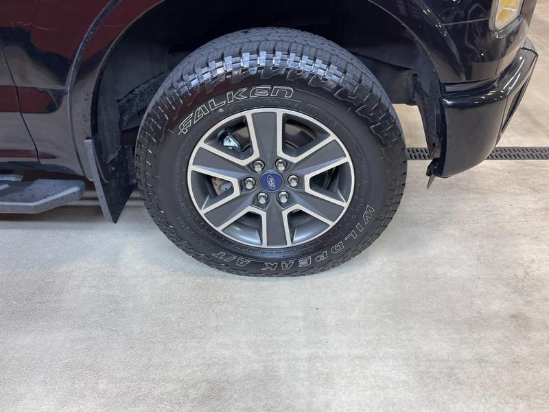 Ford F-150 Vehicle Image 07