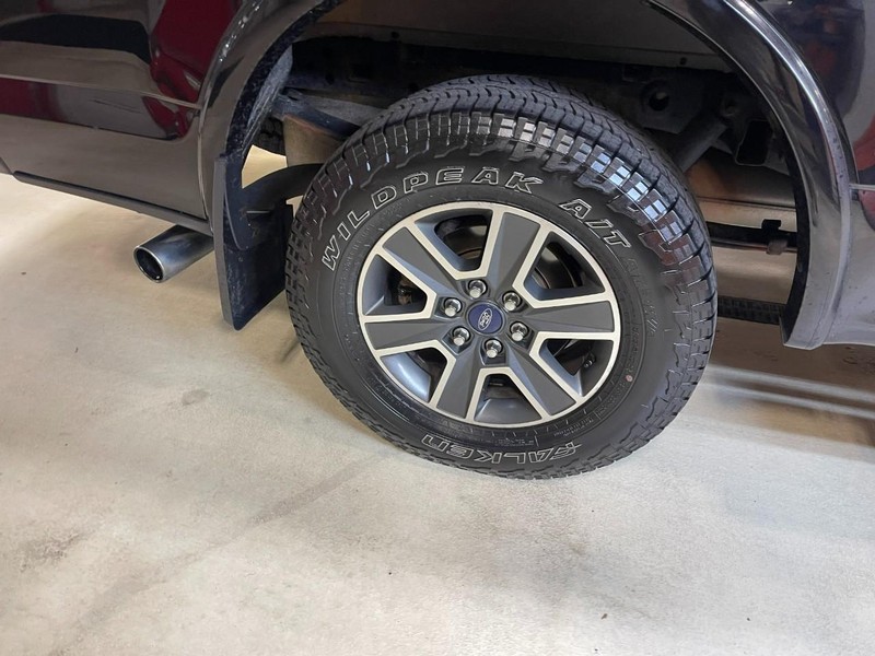 Ford F-150 Vehicle Image 08