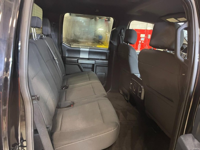 Ford F-150 Vehicle Image 12