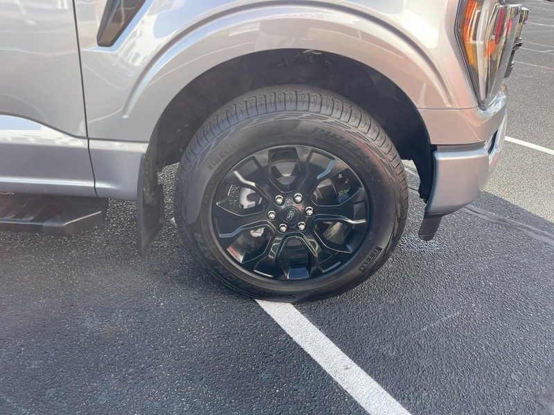 Ford F-150 Vehicle Image 07