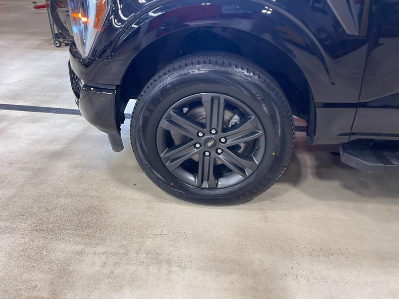 Ford F-150 Vehicle Image 06