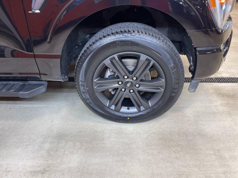 Ford F-150 Vehicle Image 07