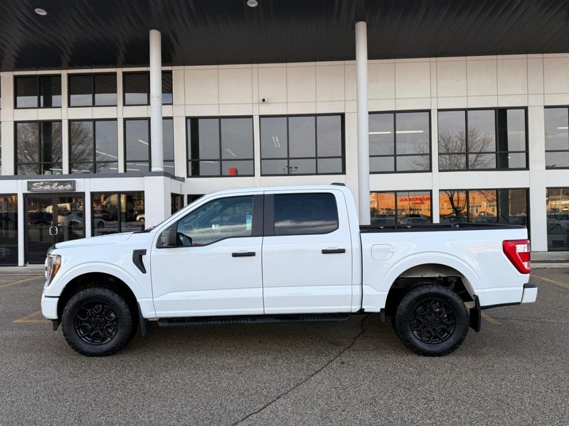 Ford F-150 Vehicle Image 08