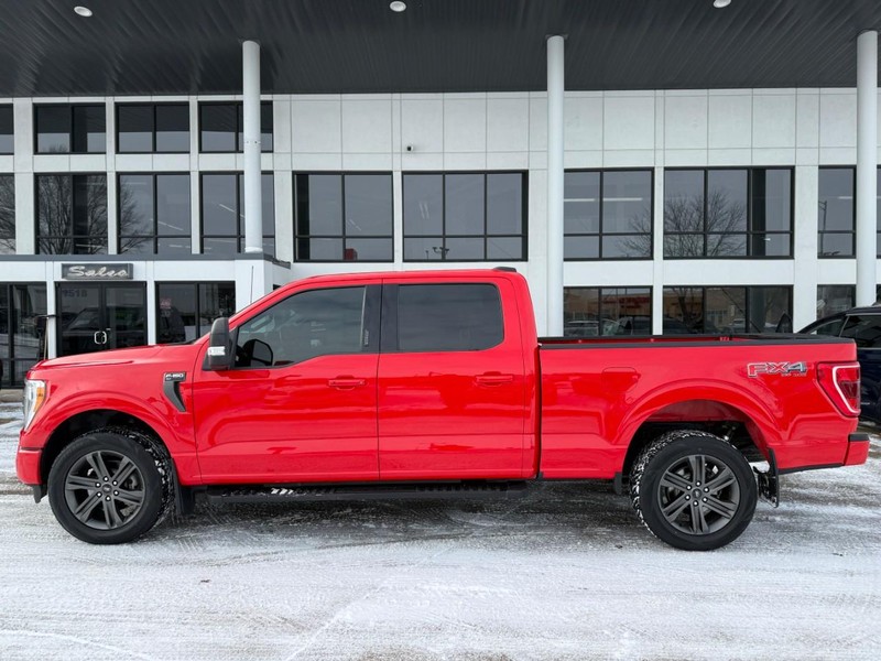 Ford F-150 Vehicle Image 08