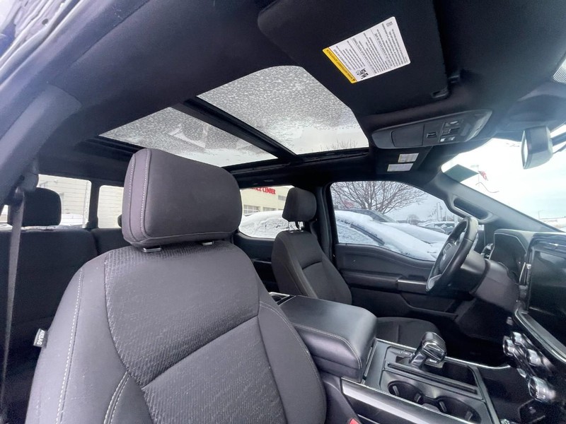 Ford F-150 Vehicle Image 03