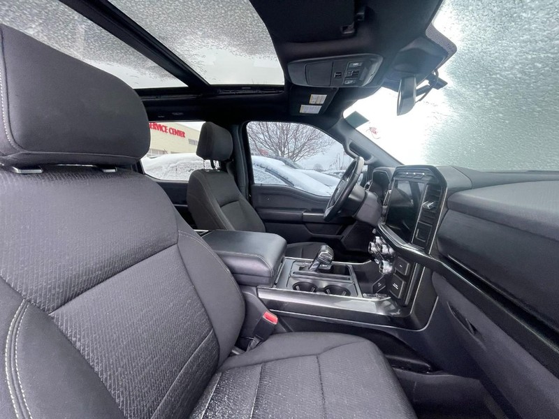 Ford F-150 Vehicle Image 04