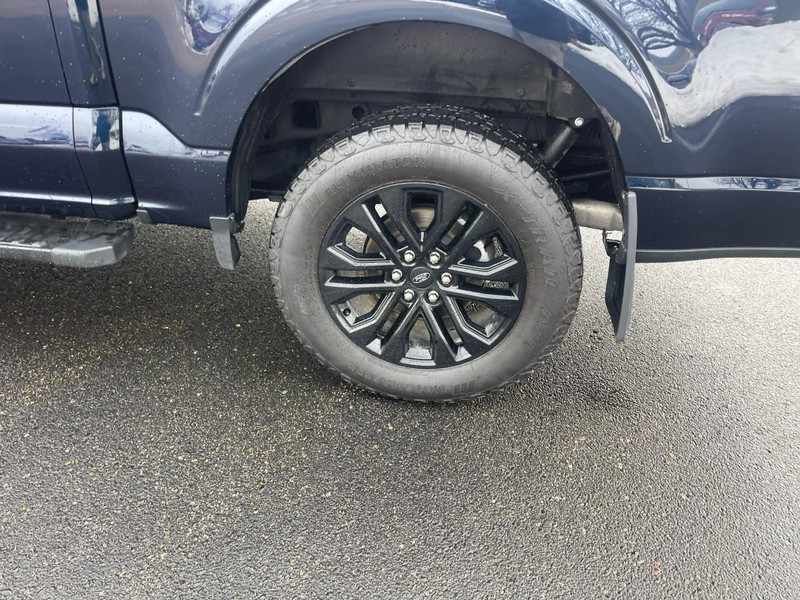 Ford F-150 Vehicle Image 05