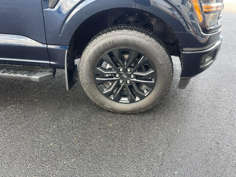 Ford F-150 Vehicle Image 07