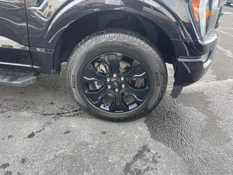 Ford F-150 Vehicle Image 07