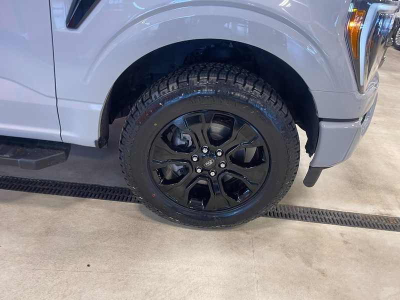 Ford F-150 Vehicle Image 07