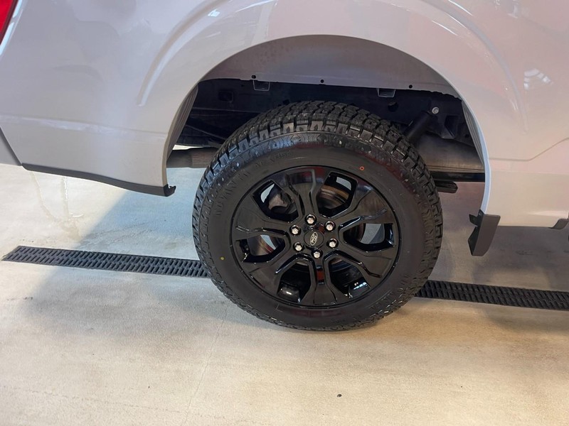 Ford F-150 Vehicle Image 08