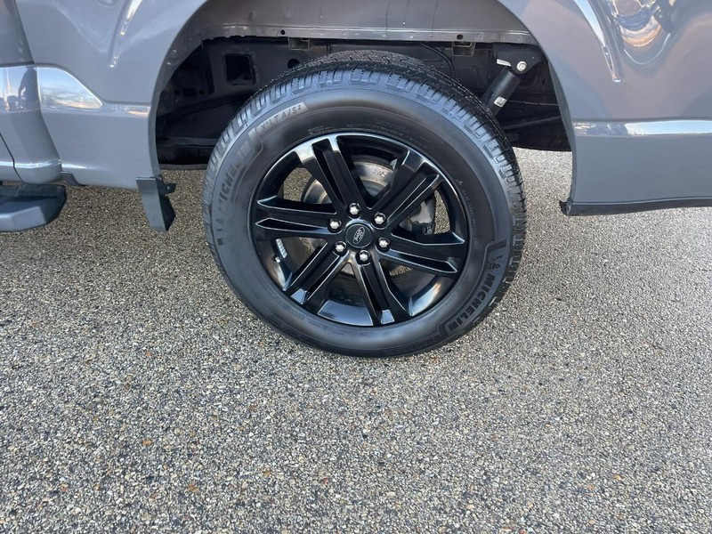 Ford F-150 Vehicle Image 05