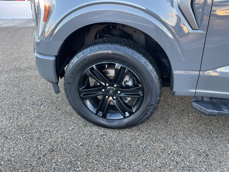 Ford F-150 Vehicle Image 06