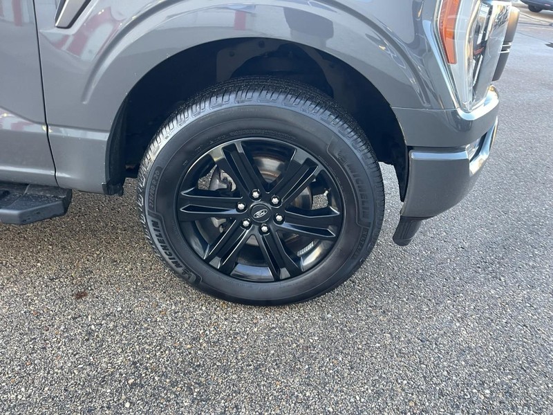 Ford F-150 Vehicle Image 07