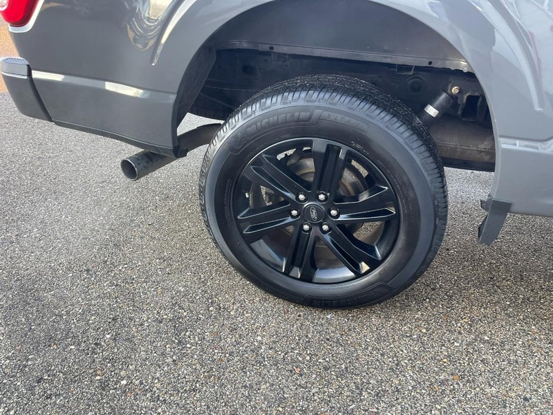 Ford F-150 Vehicle Image 08