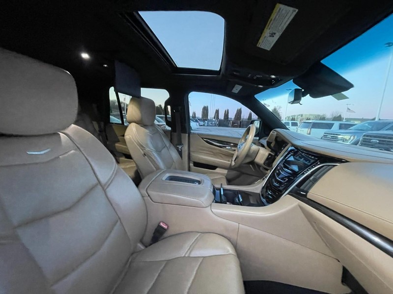 Cadillac Escalade Vehicle Image 05