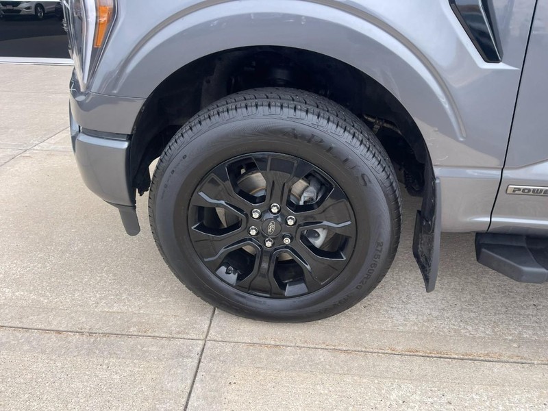 Ford F-150 Vehicle Image 06