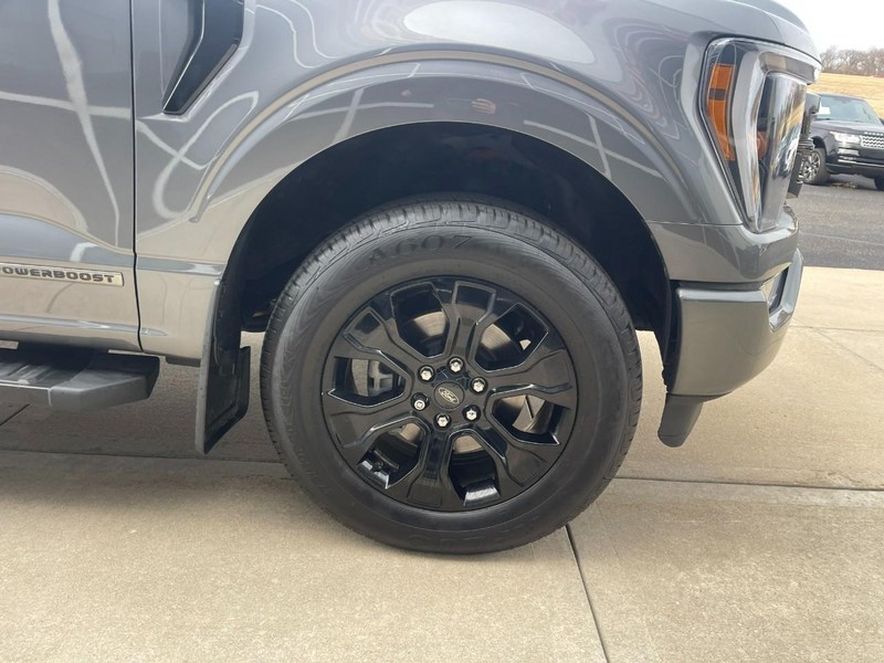 Ford F-150 Vehicle Image 07