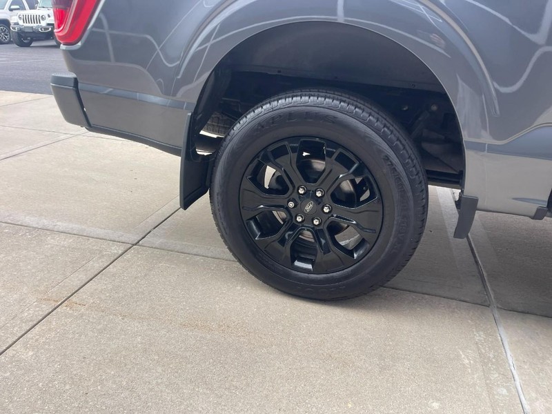 Ford F-150 Vehicle Image 08