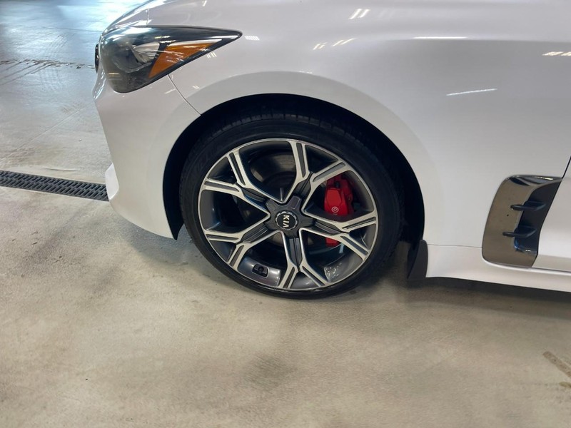 Kia Stinger Vehicle Image 06