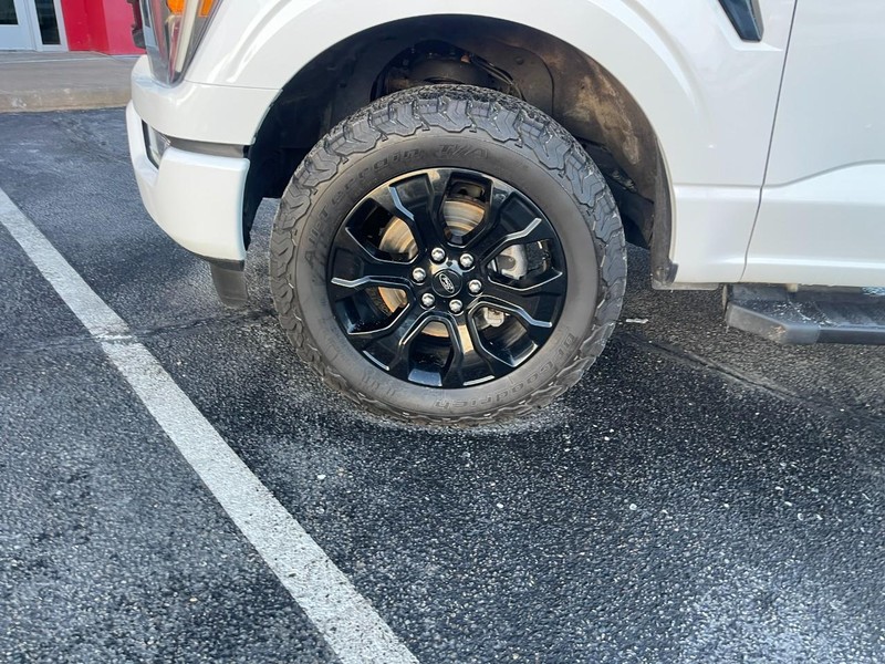 Ford F-150 Vehicle Image 06