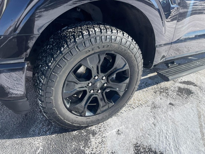 Ford F-150 Vehicle Image 06