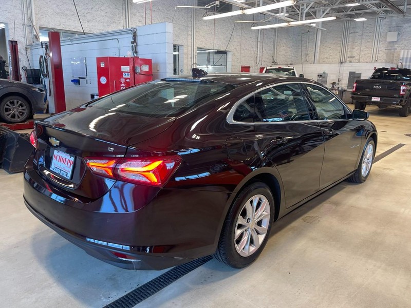 Chevrolet Malibu Vehicle Image 03