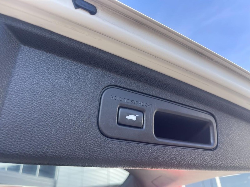 Honda Odyssey Vehicle Image 13