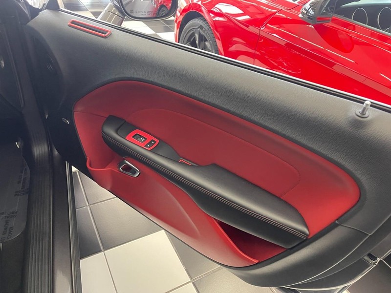 Dodge Challenger Vehicle Image 14