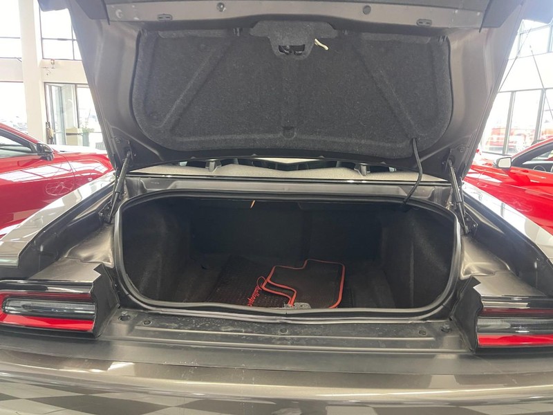 Dodge Challenger Vehicle Image 16