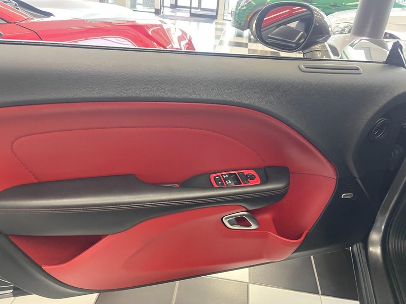 Dodge Challenger Vehicle Image 19