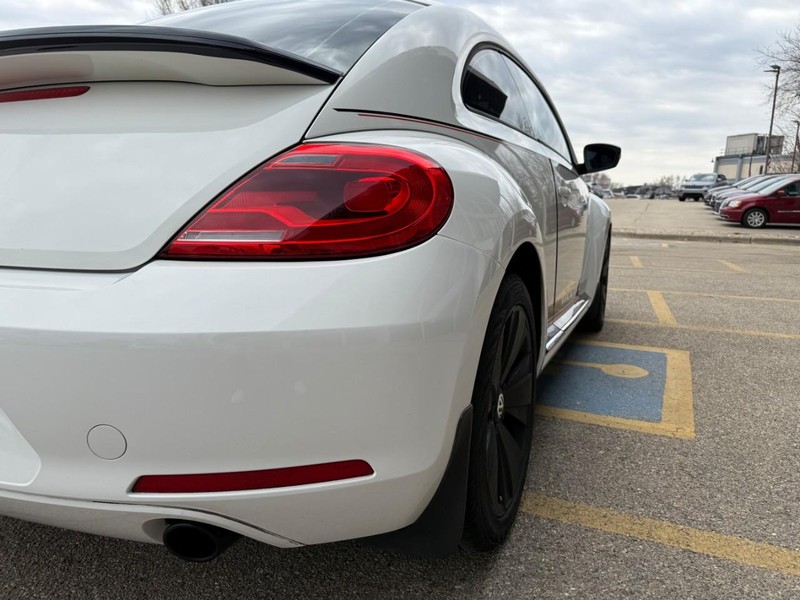 Volkswagen Beetle Vehicle Image 11