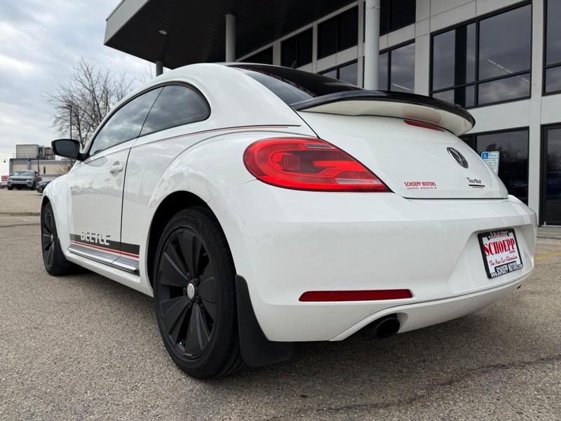 Volkswagen Beetle Vehicle Image 14