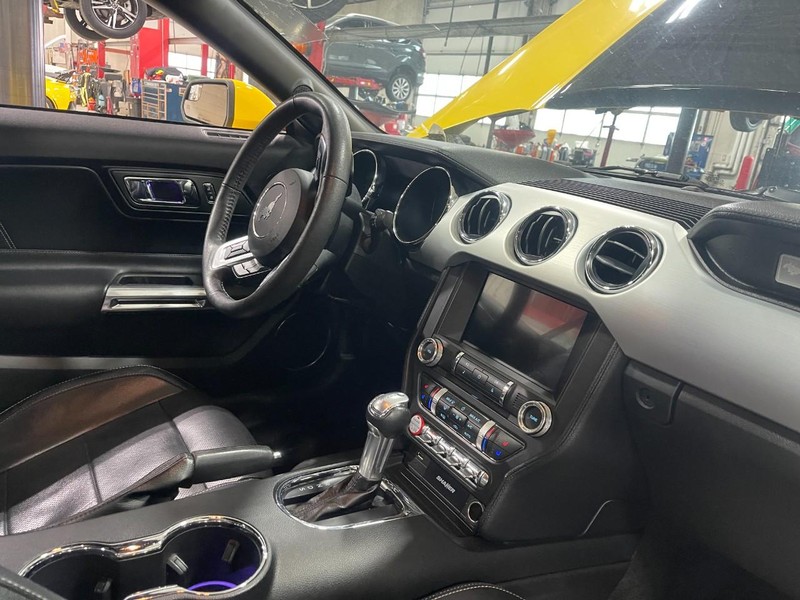 Ford Mustang Vehicle Image 02