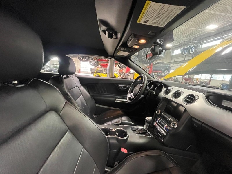 Ford Mustang Vehicle Image 03