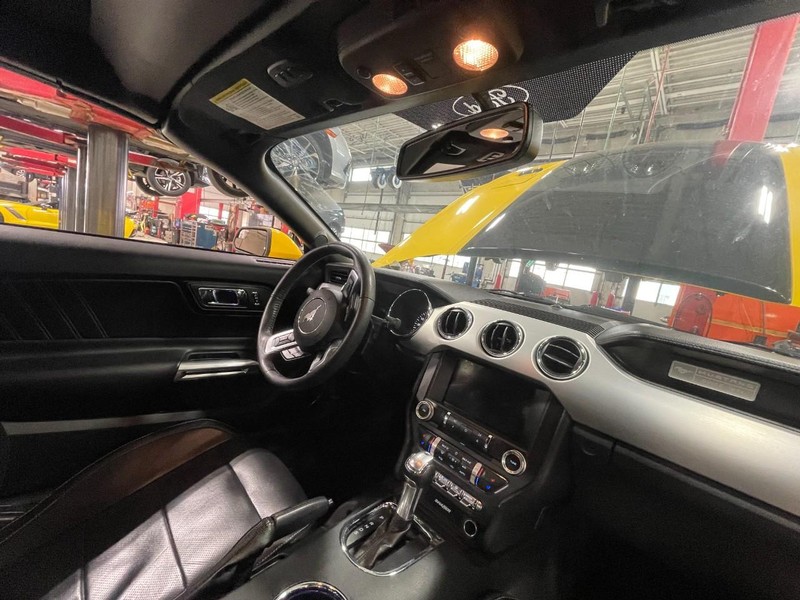 Ford Mustang Vehicle Image 05