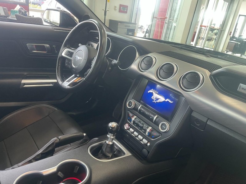 Ford Mustang Vehicle Image 09