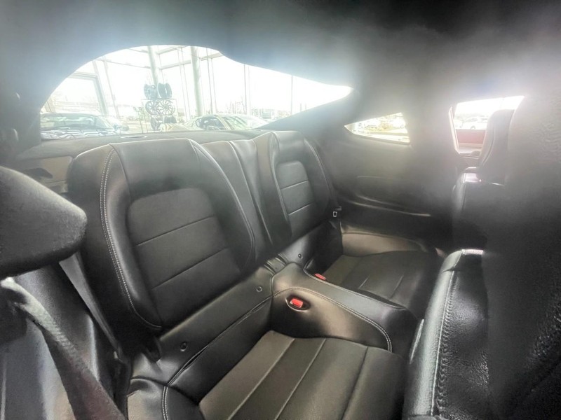 Ford Mustang Vehicle Image 11