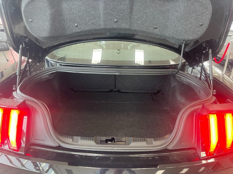 Ford Mustang Vehicle Image 13