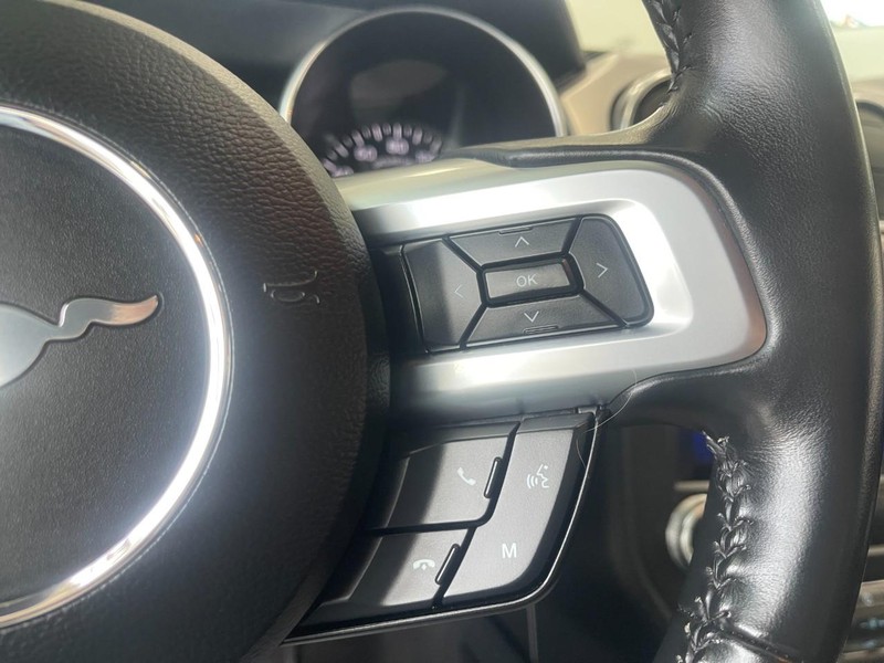 Ford Mustang Vehicle Image 22