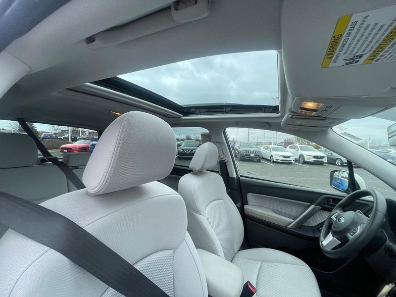 Subaru Forester Vehicle Image 04