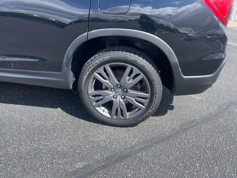 Honda Passport Vehicle Image 05