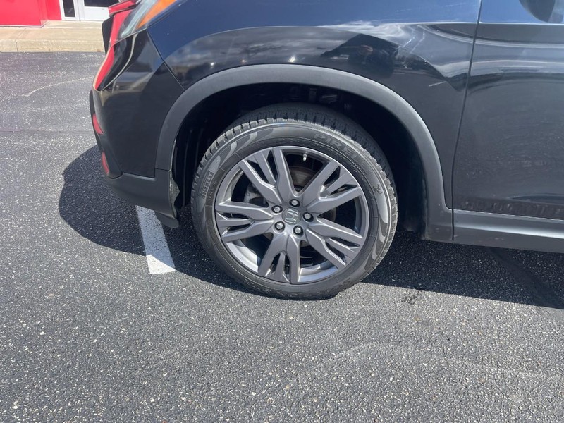 Honda Passport Vehicle Image 06