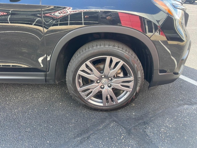 Honda Passport Vehicle Image 07